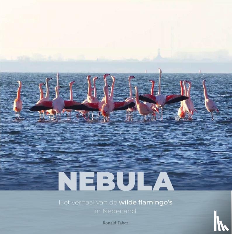 Faber, Ronald - Nebula