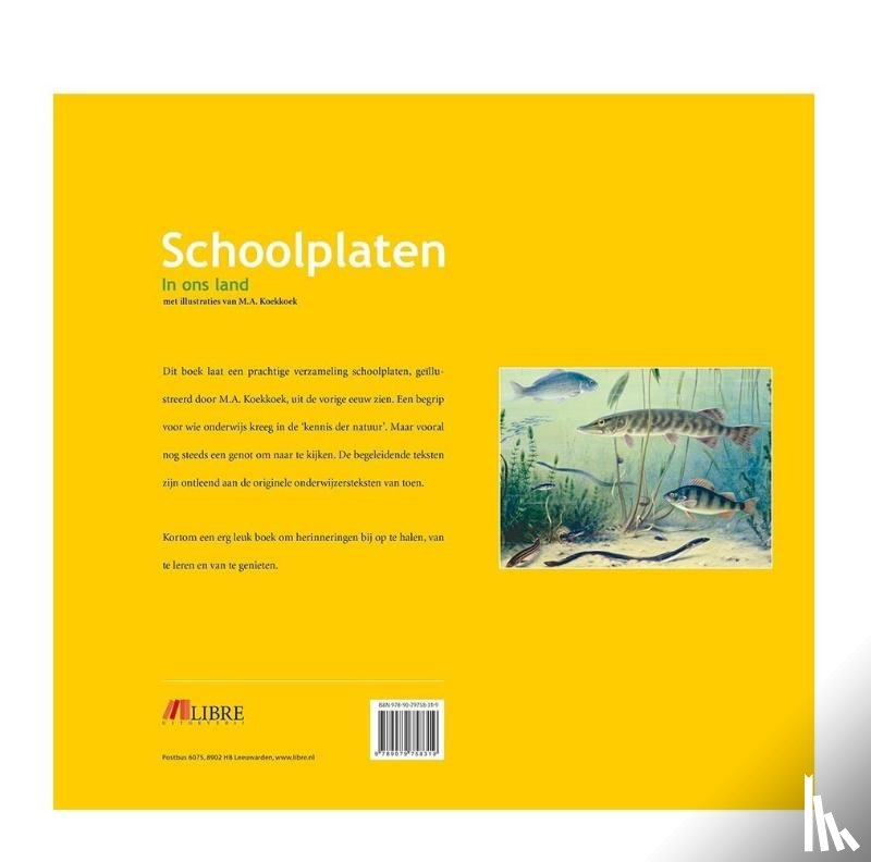 Dost, A.W.M. - Schoolplaten In ons Land