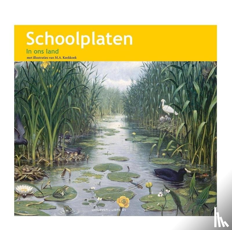 Dost, A.W.M. - Schoolplaten In ons Land