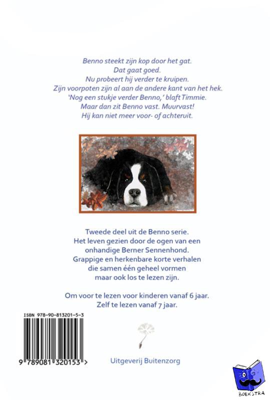 Stok, Hermien - Benno de boevenvanger