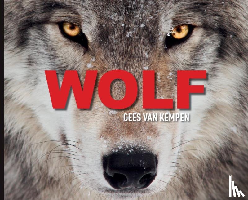 Kempen, Cees van - Wolf