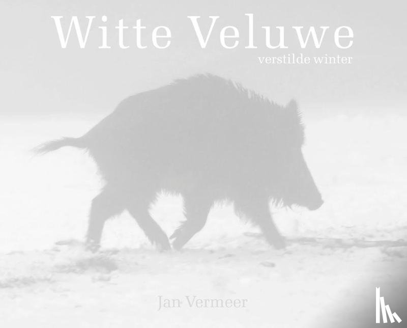 Vermeer, Jan - Witte Veluwe - verstilde winter