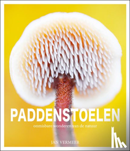 Vermeer, Jan - PADDENSTOELEN