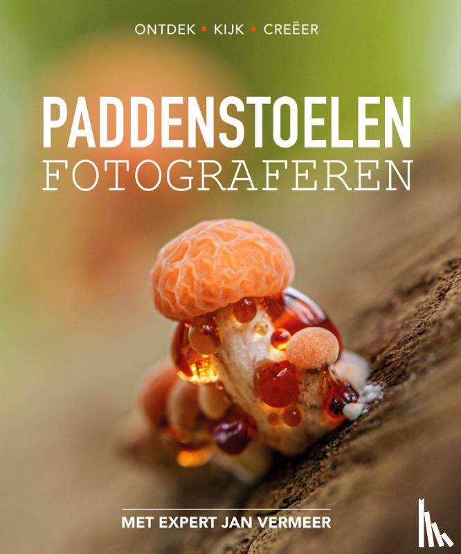 Vermeer, Jan - Paddenstoelen fotograferen