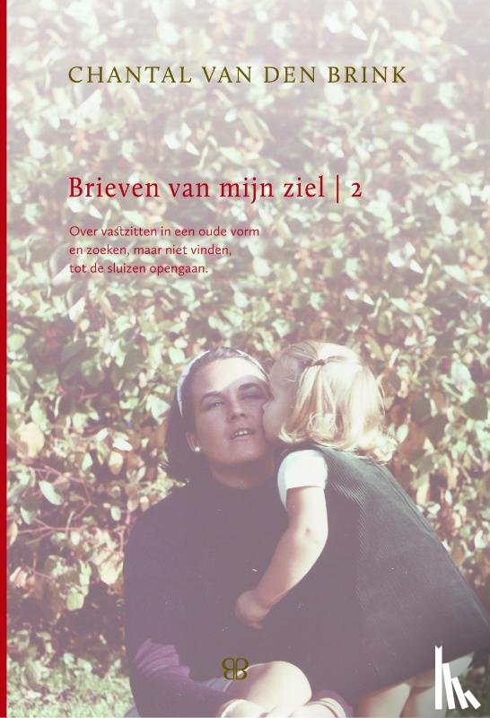 Brink, Chantal van den - BRIEVEN VAN MIJN ZIEL 2