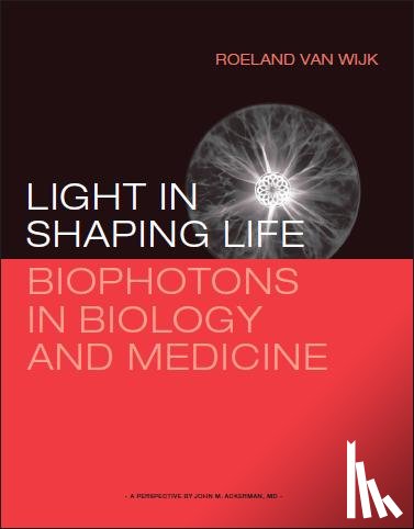 Wijk, Roeland van - Light in shaping life