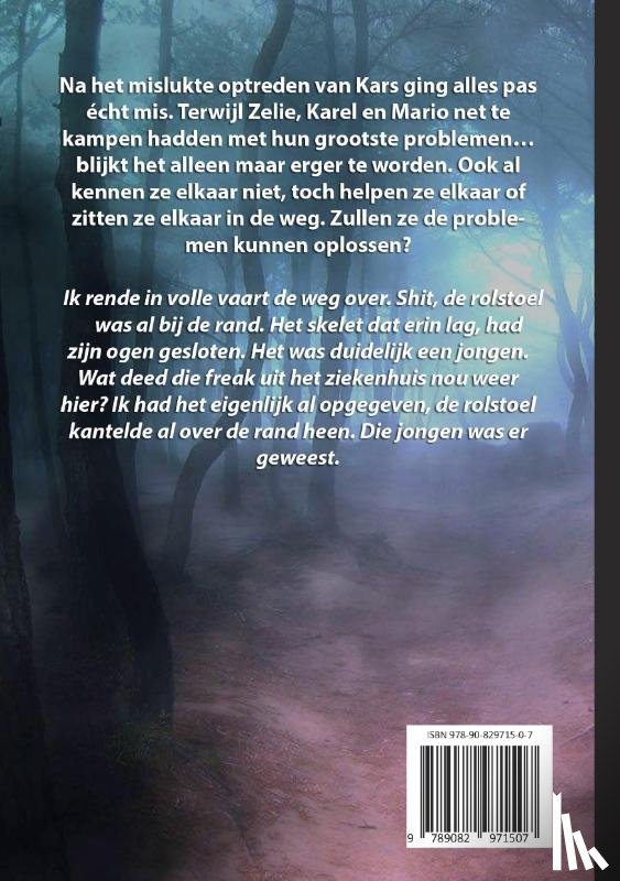 Melissen, Elisabeth - Een dubbeltje met chaos