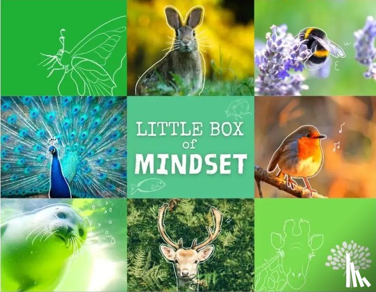 Tjerkstra, Meindert - Little Box of Mindset