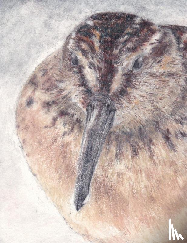 Geerlings, Dietske - Breedbekstrandloper