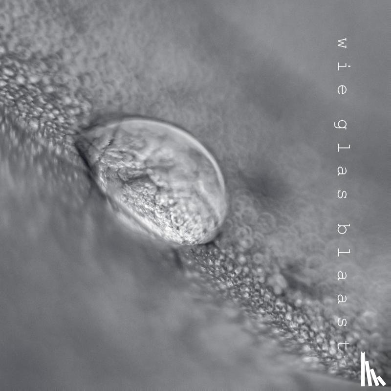 Geerlings, Dietske - wie glas blaast
