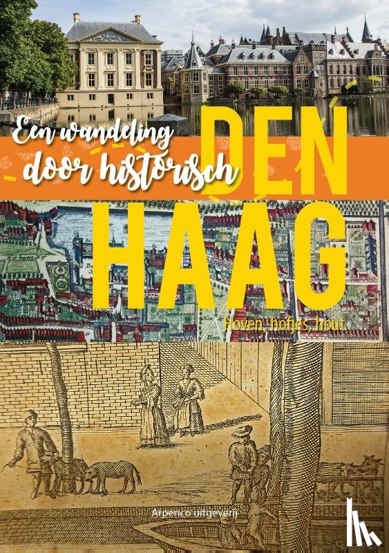 Arp, Gerard - Een wandeling door historisch Den Haag