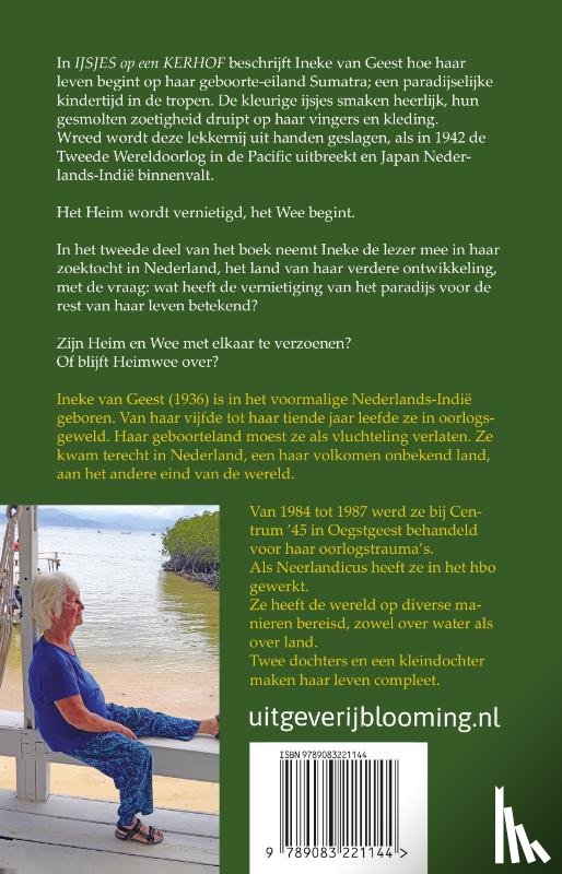 Geest, Ineke van - IJsjes op een kerkhof