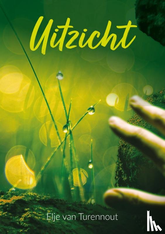 Turennout, Elje van - Uitzicht