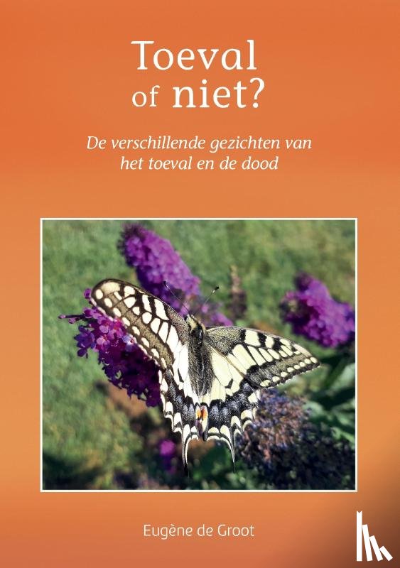 Groot, Eugène de - Toeval of niet?