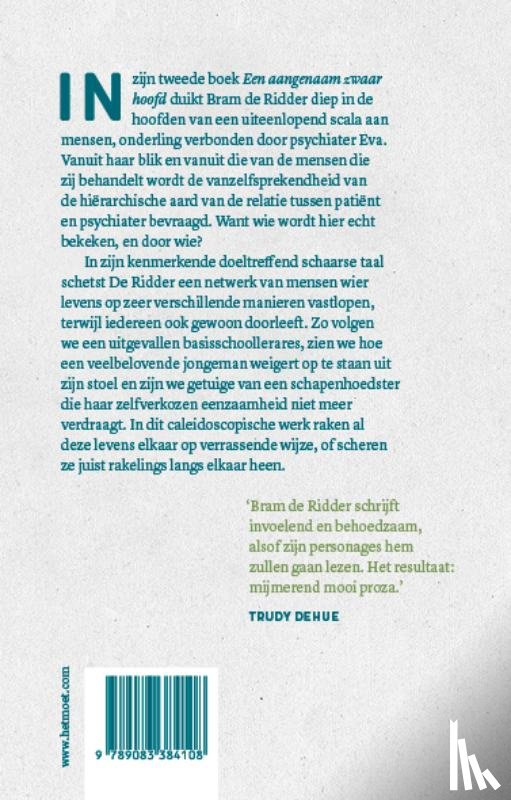 De Ridder, Bram - Een aangenaam zwaar hoofd