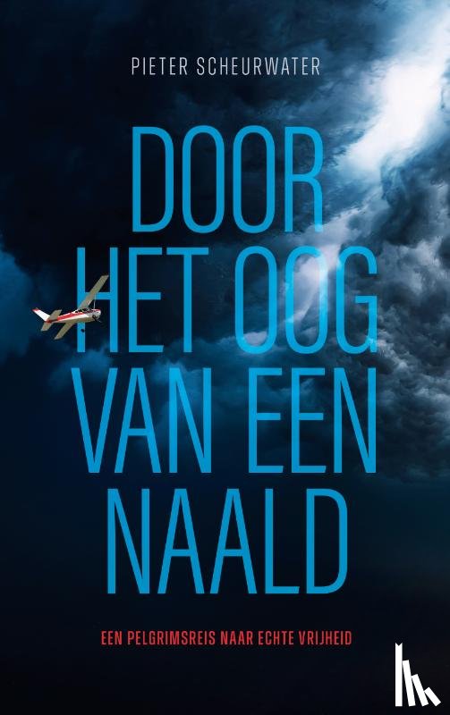 Scheurwater, Pieter - Door het oog van een naald