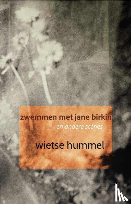 Hummel, Wietse - Zwemmen met Jane Birkin en andere scènes
