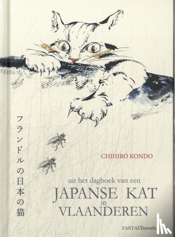  - Japanse kat in Vlaanderen