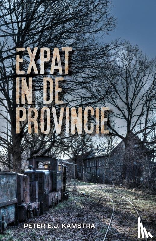 Kamstra, Peter - Expat in de provincie