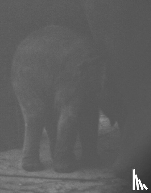 Dumas, Charlotte - Entendue