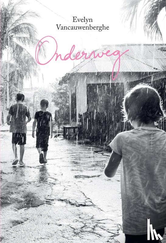 Vancauwenberghe, Evelyn - Onderweg