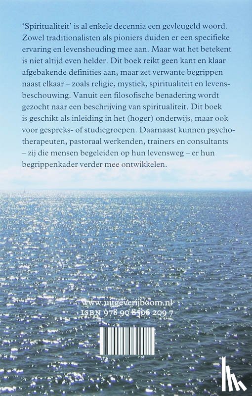 Roothaan, A. - Spiritualiteit begrijpen