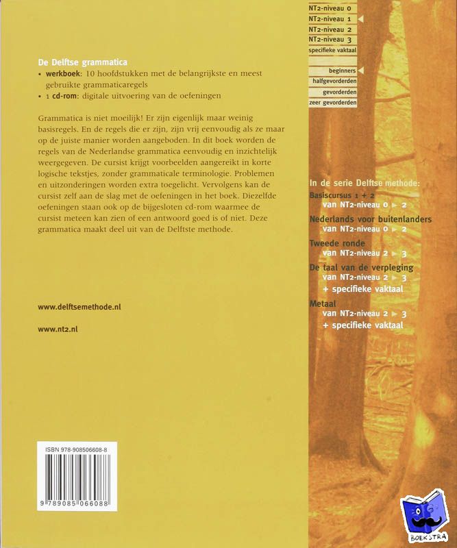Sciarone, B. - De Delftse grammatica