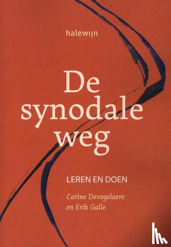  - De synodale weg