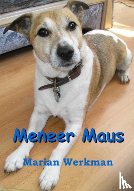 Werkman, Marian - Meneer Maus