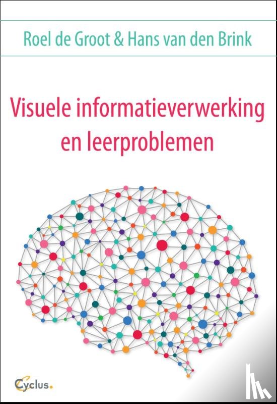 Groot, Roel de, Brink, Hans van den - Visuele informatieverwerking en leerproblemen