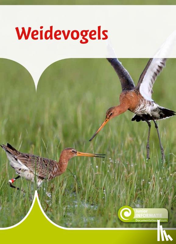 Roebers, Geert-Jan - Weidevogels