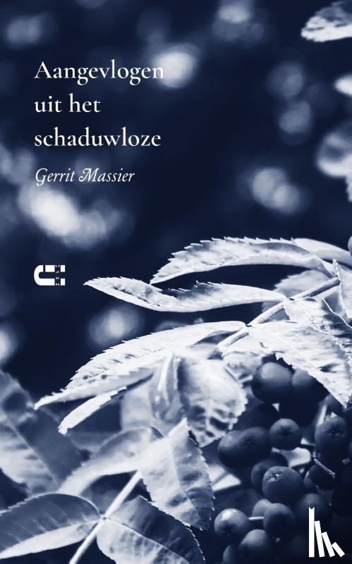 Massier, Gerrit - Aangevlogen uit het schaduwloze