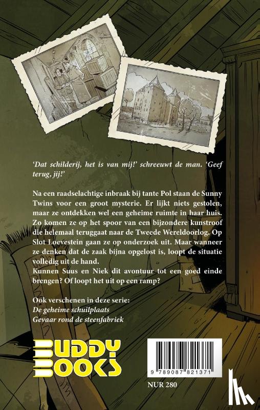 Plas, Annette van der - Het geroofde schilderij