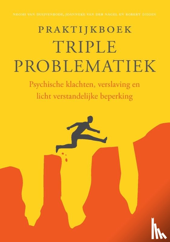 Duijvenbode, Neomi van, Didden, Robert, Nagel, Joanneke van der - Praktijkboek triple problematiek