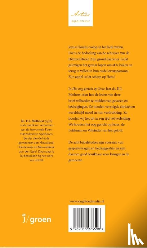 Methorst, H. I. - Het oog gericht op Jezus