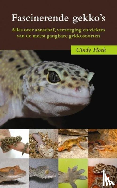Hoek, C. - Fascinerende gekko's - alles over aanschaf, verzorging en ziektes van de meest gangbare gekkosoorten