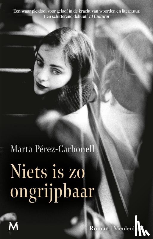 Pérez-Carbonell, Marta - Niets is zo ongrijpbaar