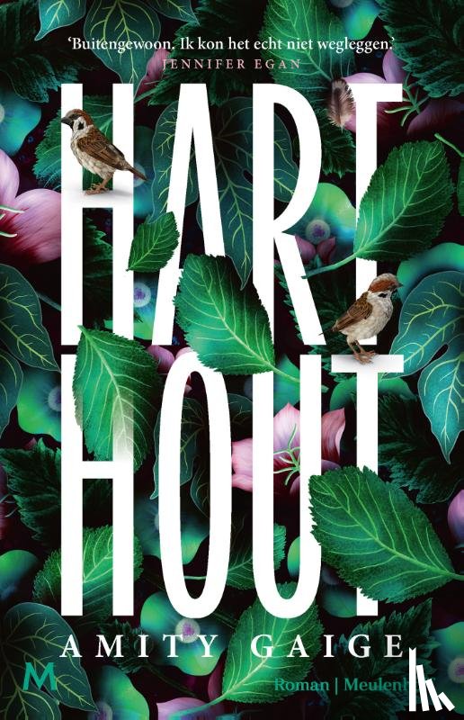 Gaige, Amity - Harthout