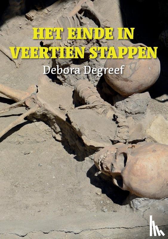 Degreef, Debora - Het einde in veertien stappen