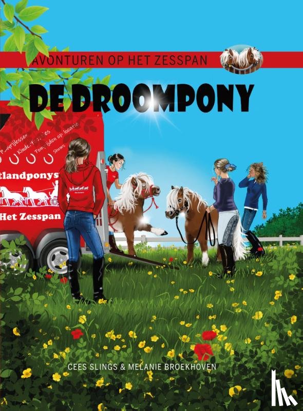 Slings, Cees - De Droompony