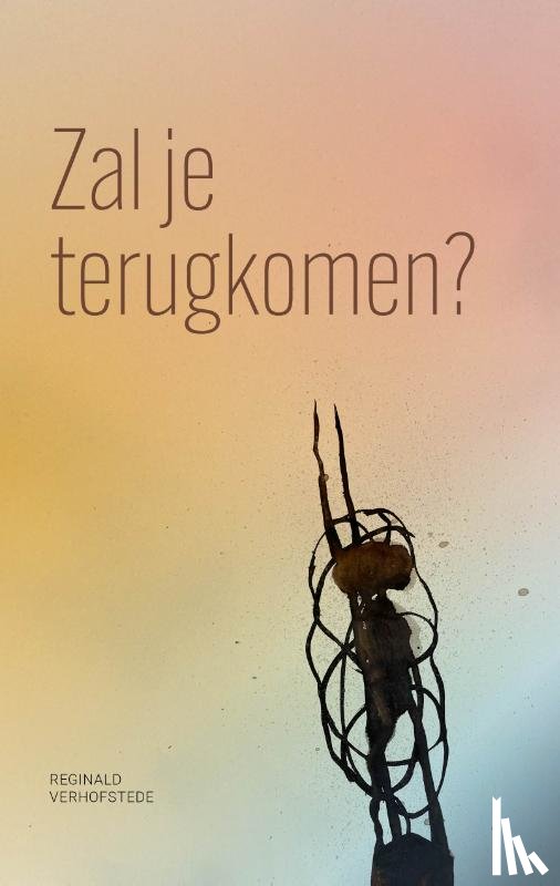 Verhofstede, Reginald - Zal je terugkomen?