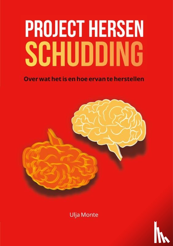  - Project Hersenschudding