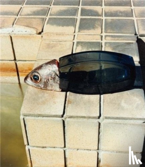 Harada, Naohiro - Tokyo Fishgraphs 2020