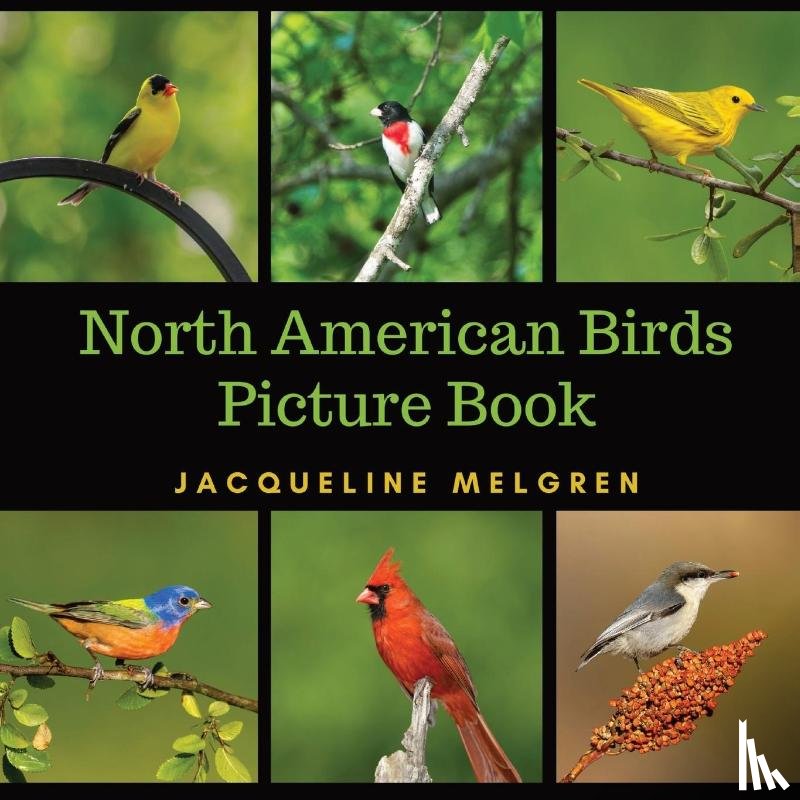 Melgren, Jacqueline - North American Birds Picture Book