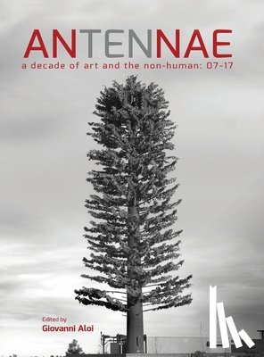  - Antennae 10