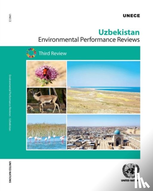 United Nations: Economic Commission for Europe: Committee on Environmental Policy - Uzbekistan