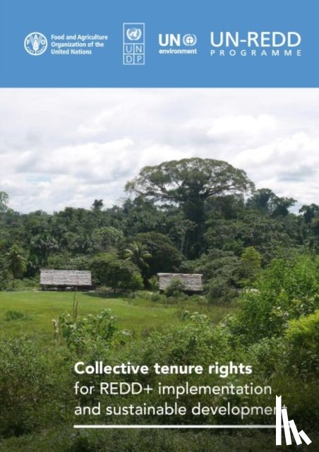 Bradley, Amanda, Food and Agriculture Organization, Fortuna, Serena - Collective tenure rights for REDD+ implementation and sustainable development