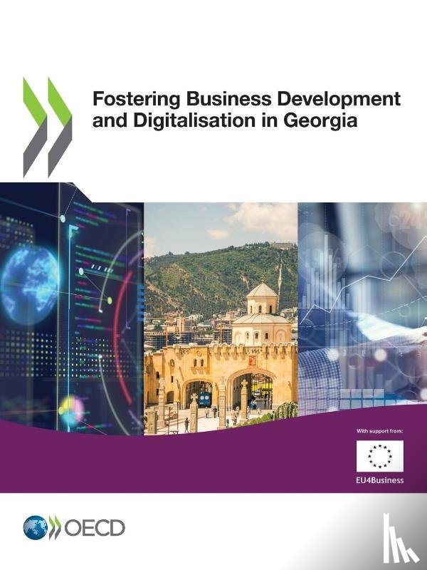 Organisation for Economic Co-operation and Development - Fostering business development and digitalisation in Georgia