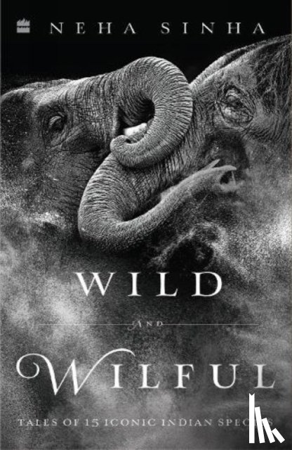 Sinha, Neha - Wild And Wilful