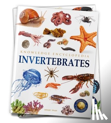 Wonder House Books - Animals - Invertebrates